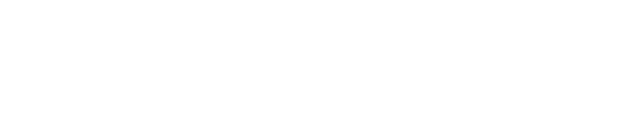 tunnelight logo